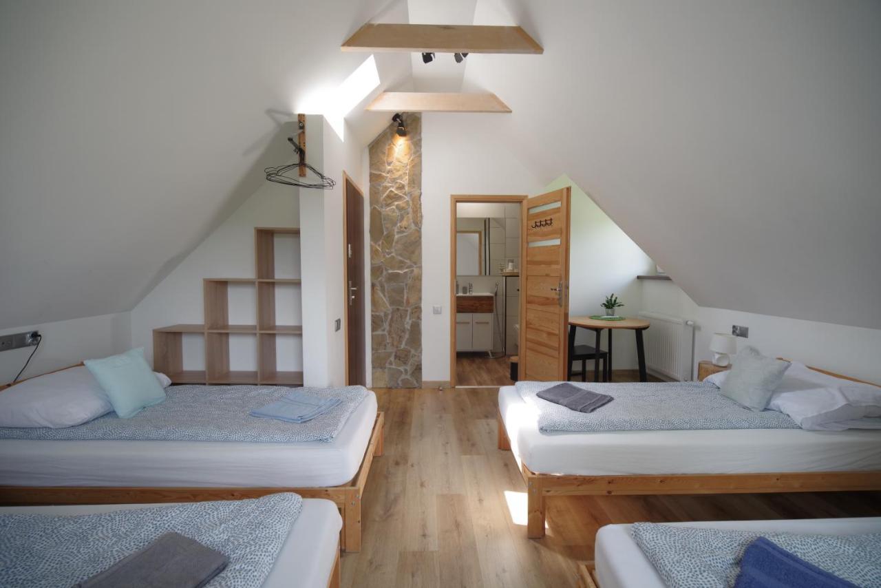 Ski House Szczyrk - Czyrna Dış mekan fotoğraf