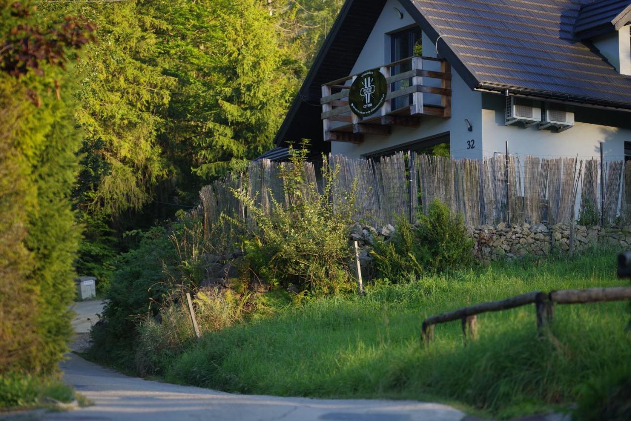 Ski House Szczyrk - Czyrna Dış mekan fotoğraf